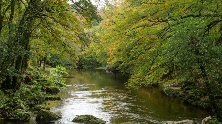 A view up the River Teign seen from the gorge walk at Castle Drogo, Devon in autumn